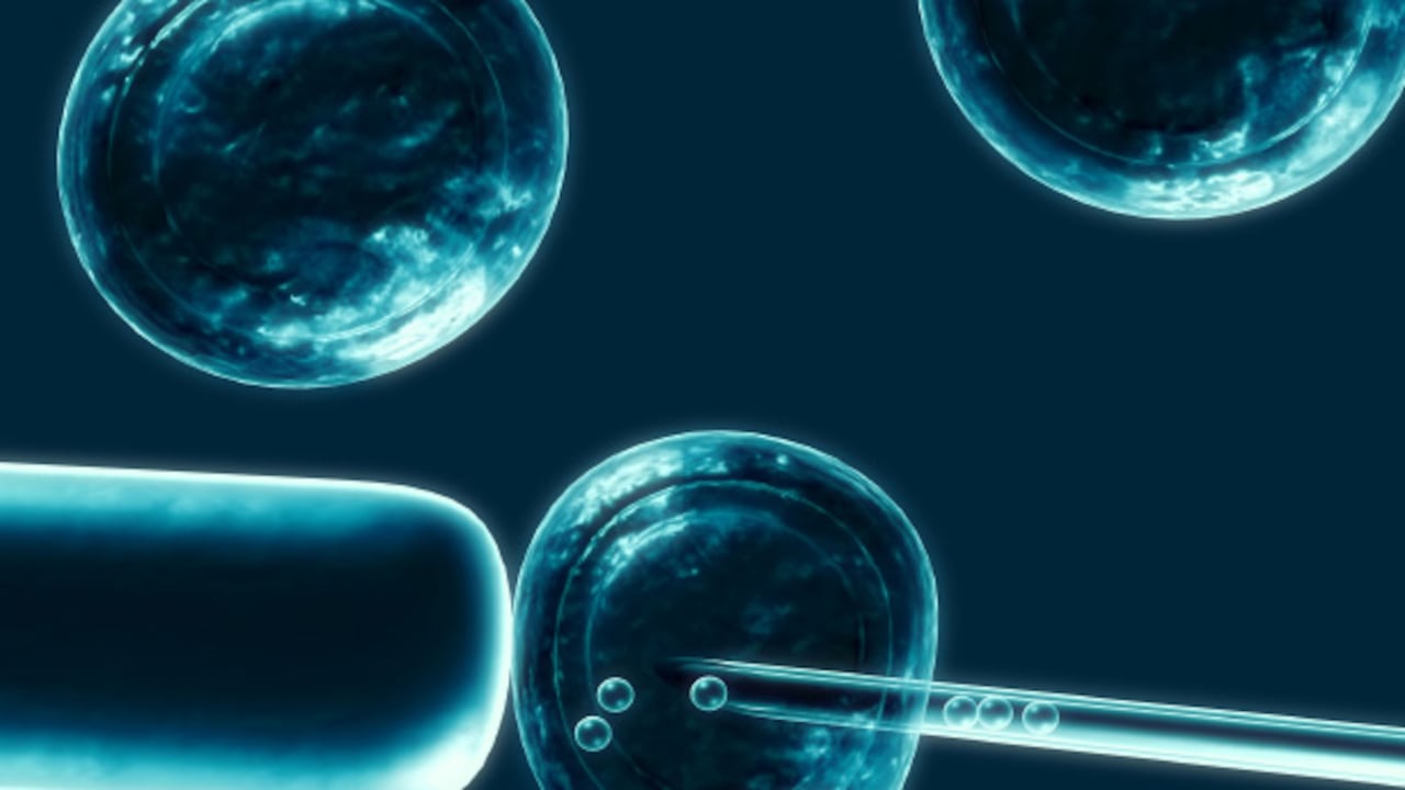 Las células madre humanas creadas por clonación pueden convertirse en cualquier tejido del cuerpo y por lo tanto regenerar órganos dañados.