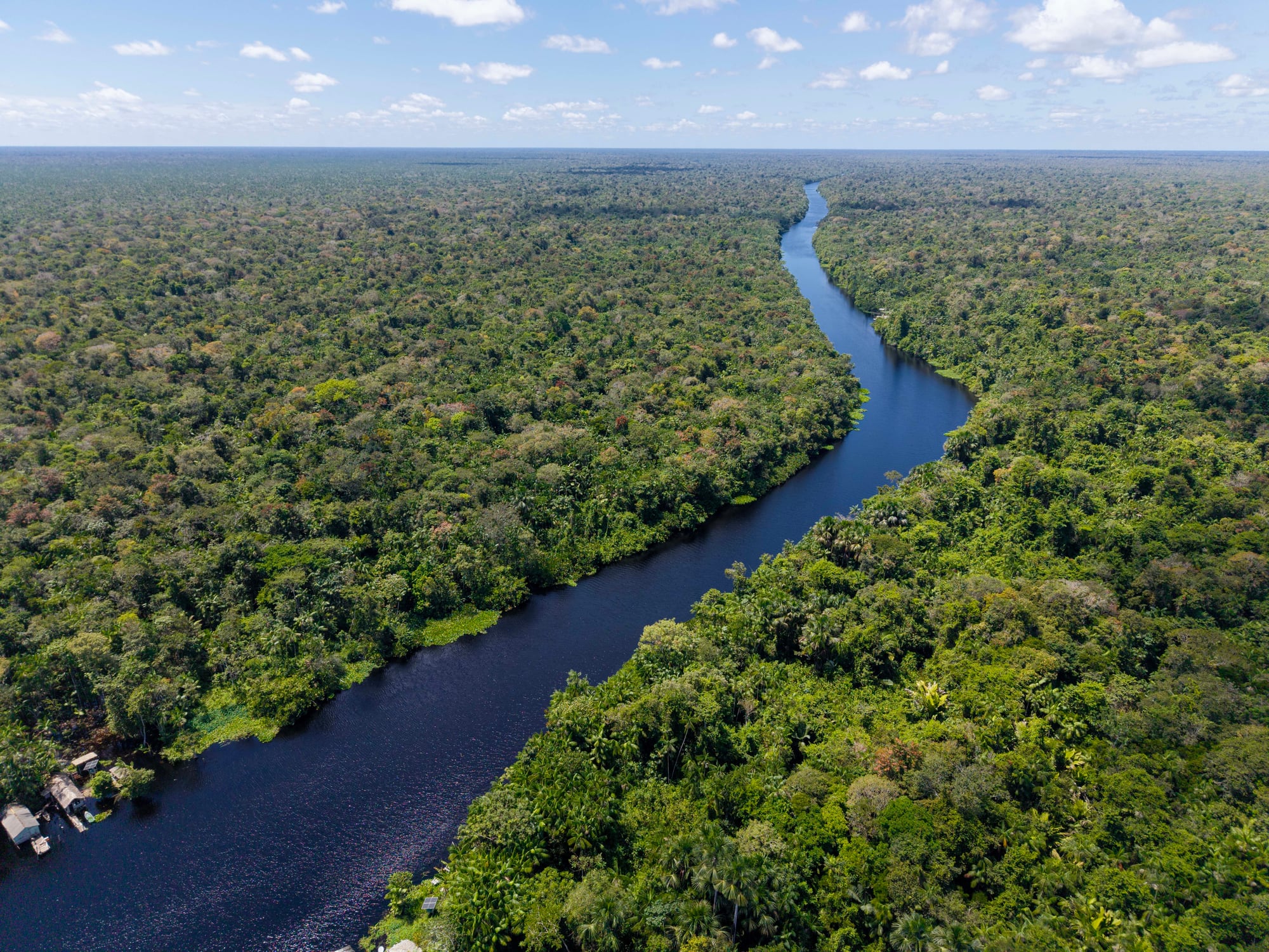 El descubrimiento ocurrió en una zona de bosques que se inundan durante ciertas épocas del año.