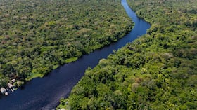 El descubrimiento ocurrió en una zona de bosques que se inundan durante ciertas épocas del año.