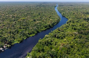 El descubrimiento ocurrió en una zona de bosques que se inundan durante ciertas épocas del año.