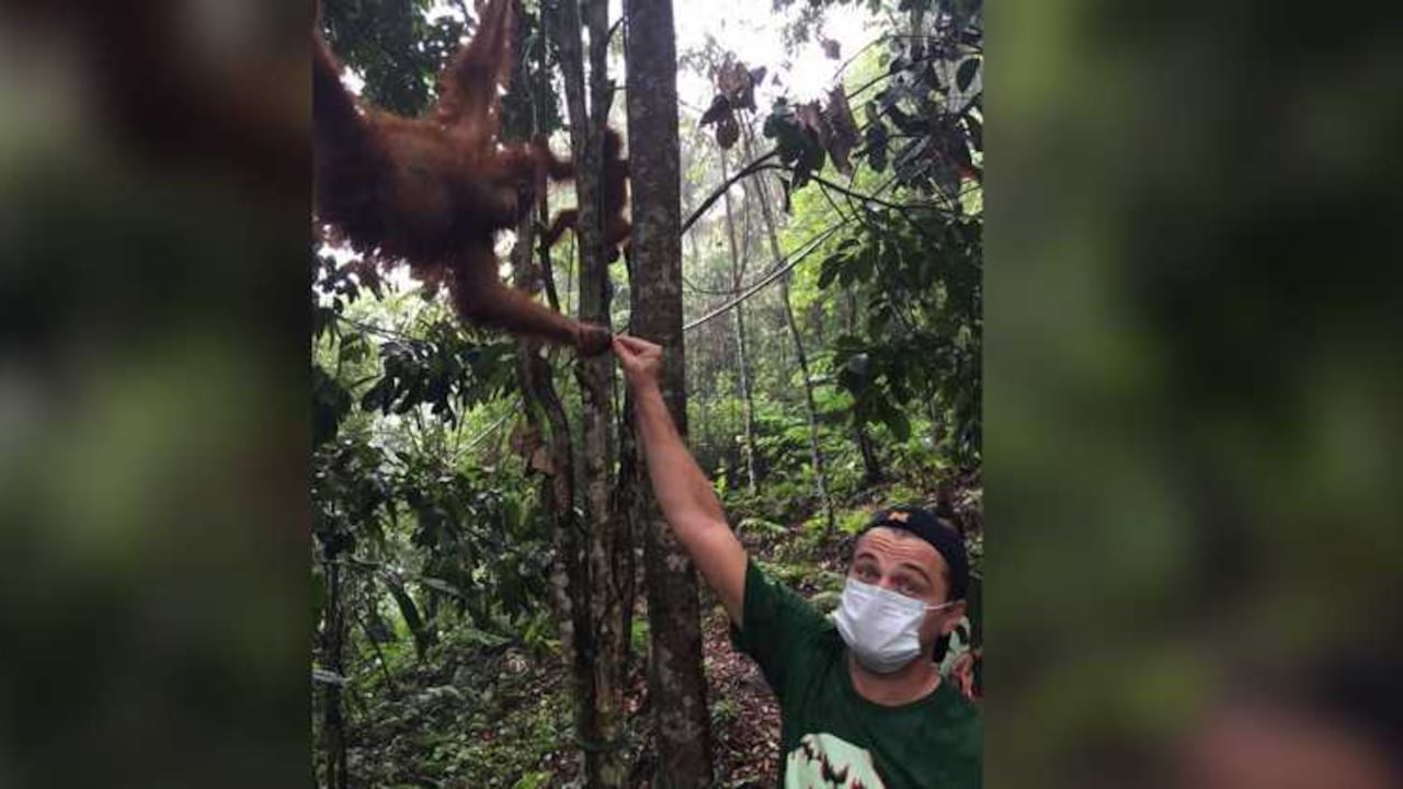 El actor estuvo de visita en Indonesia con motivo de sus causas ambientales.