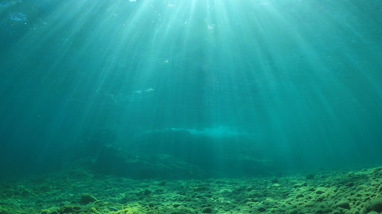 Este hallazgo en el océano desconcertó a los científicos.
