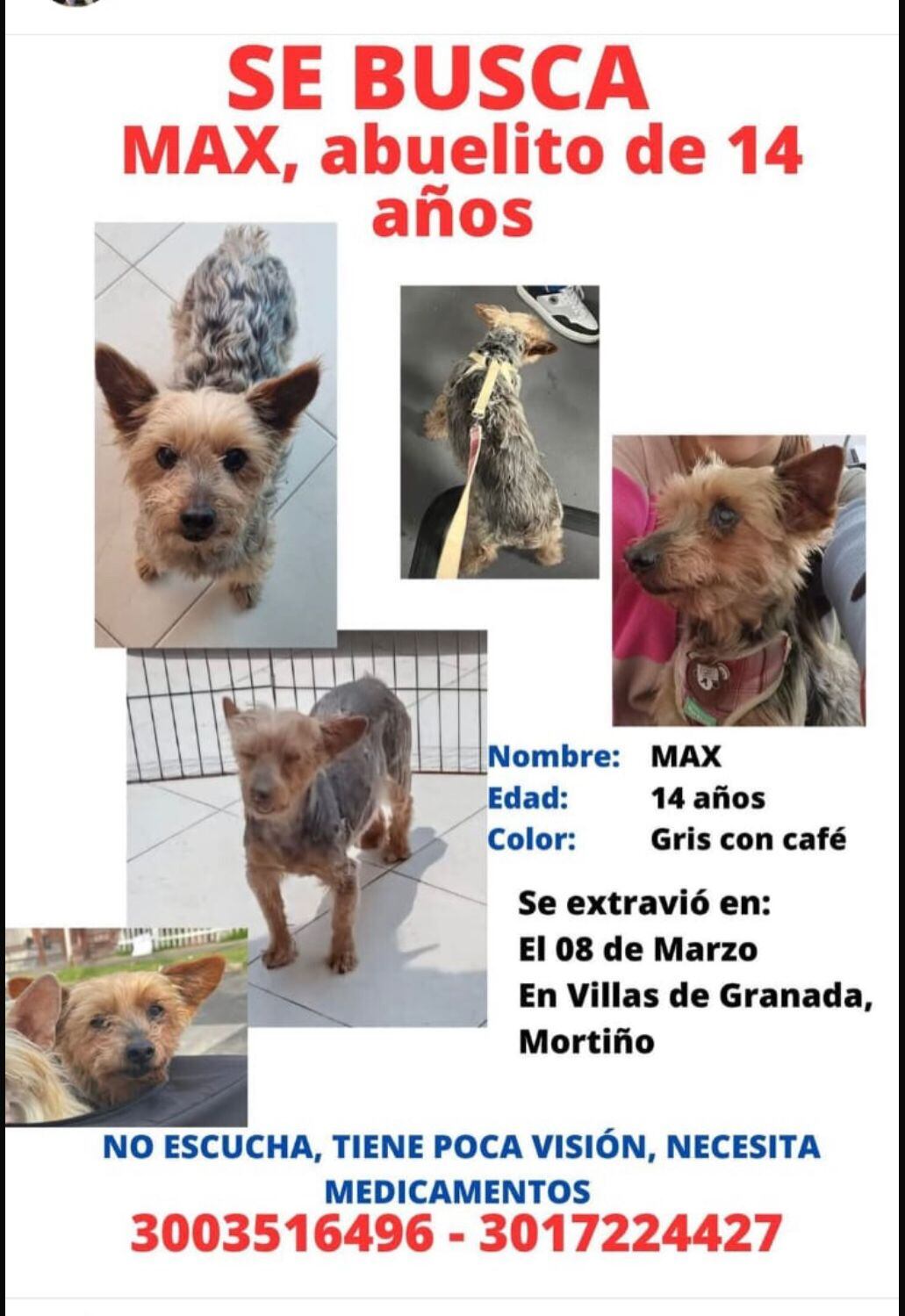 Si tiene información sobre el posible paradero de Max, por favor comunicarse.