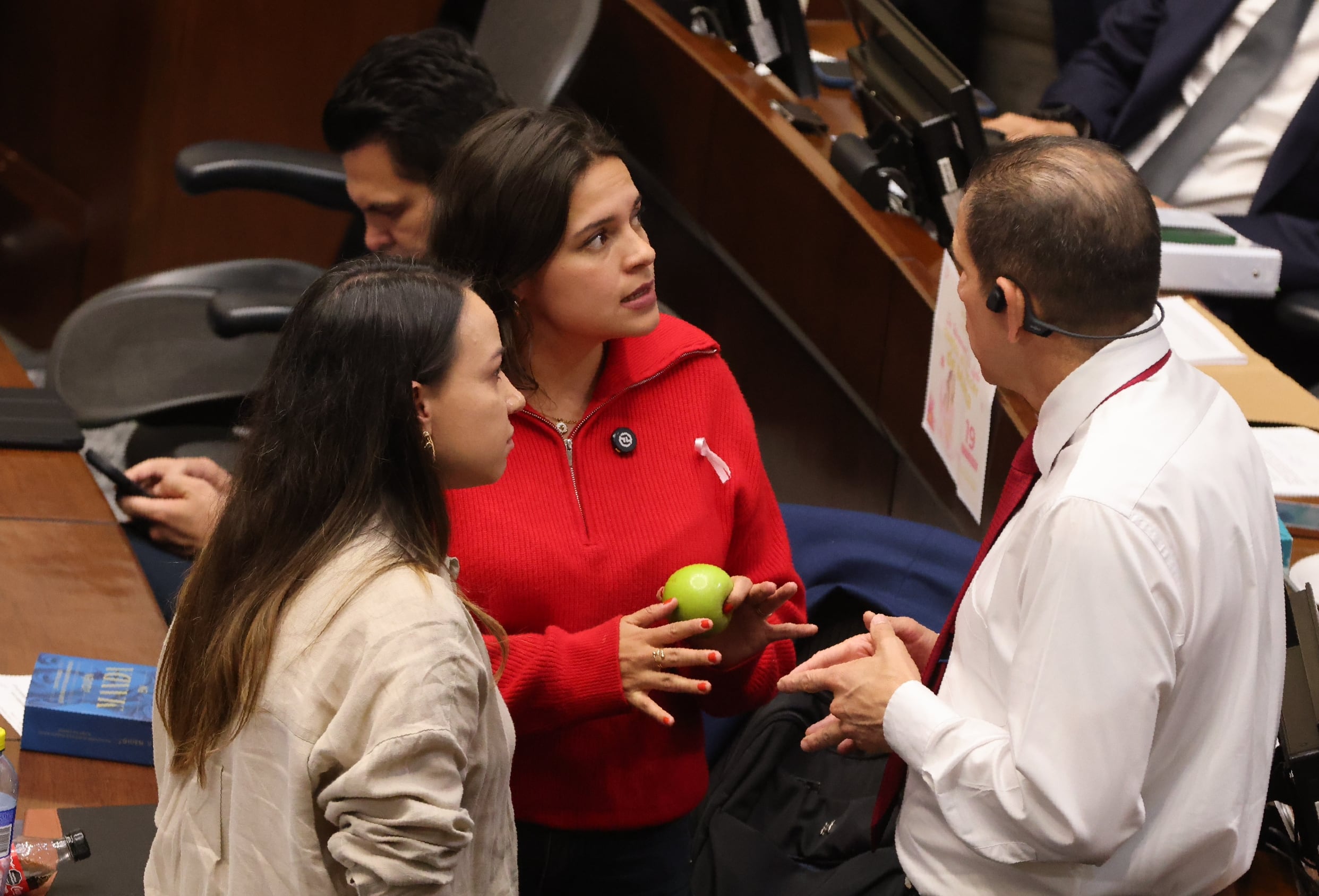 Plenaria Congreso de la República