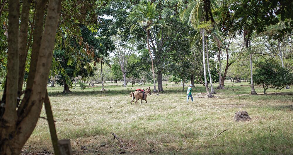 Un equipo de SEMANA llegó a El Ubérrimo.