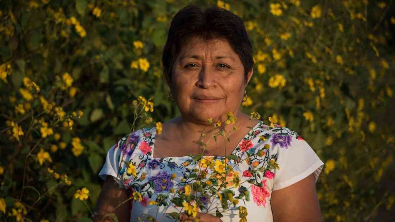 Leydy Pech está rodeada de la flor de tajonal, fuente de nectar y polen para las abejas e insectos polinizadores de la región. A través de la conservación de apicultura tradicional maya, Leydy lucha contra empresas trasnacionales y por el respeto de los derechos de la mujer maya, por un medio ambiente sano. Foto: Robin Canul.