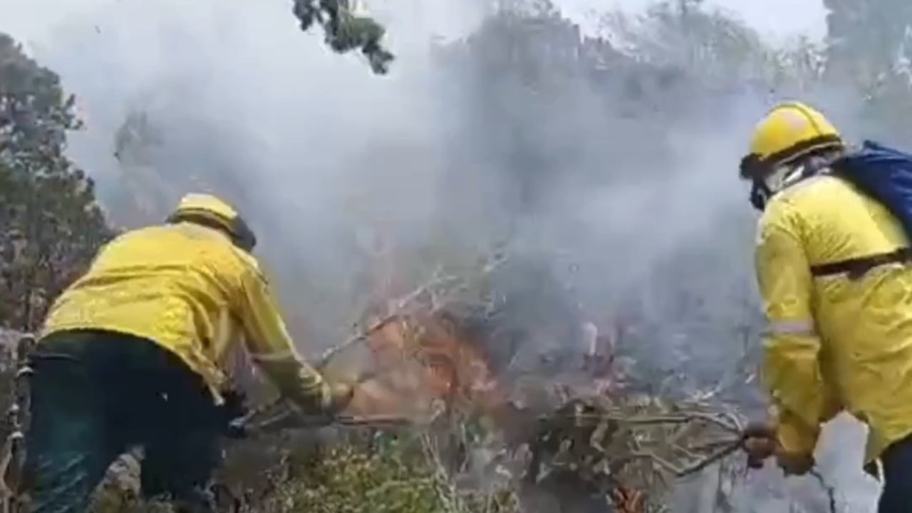 Parques Nacionales espera seis helicópteros para frenar la reactivación de incendios en Iguaque.