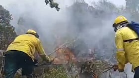 Parques Nacionales espera seis helicópteros para frenar reactivación de incendios en Iguaque.