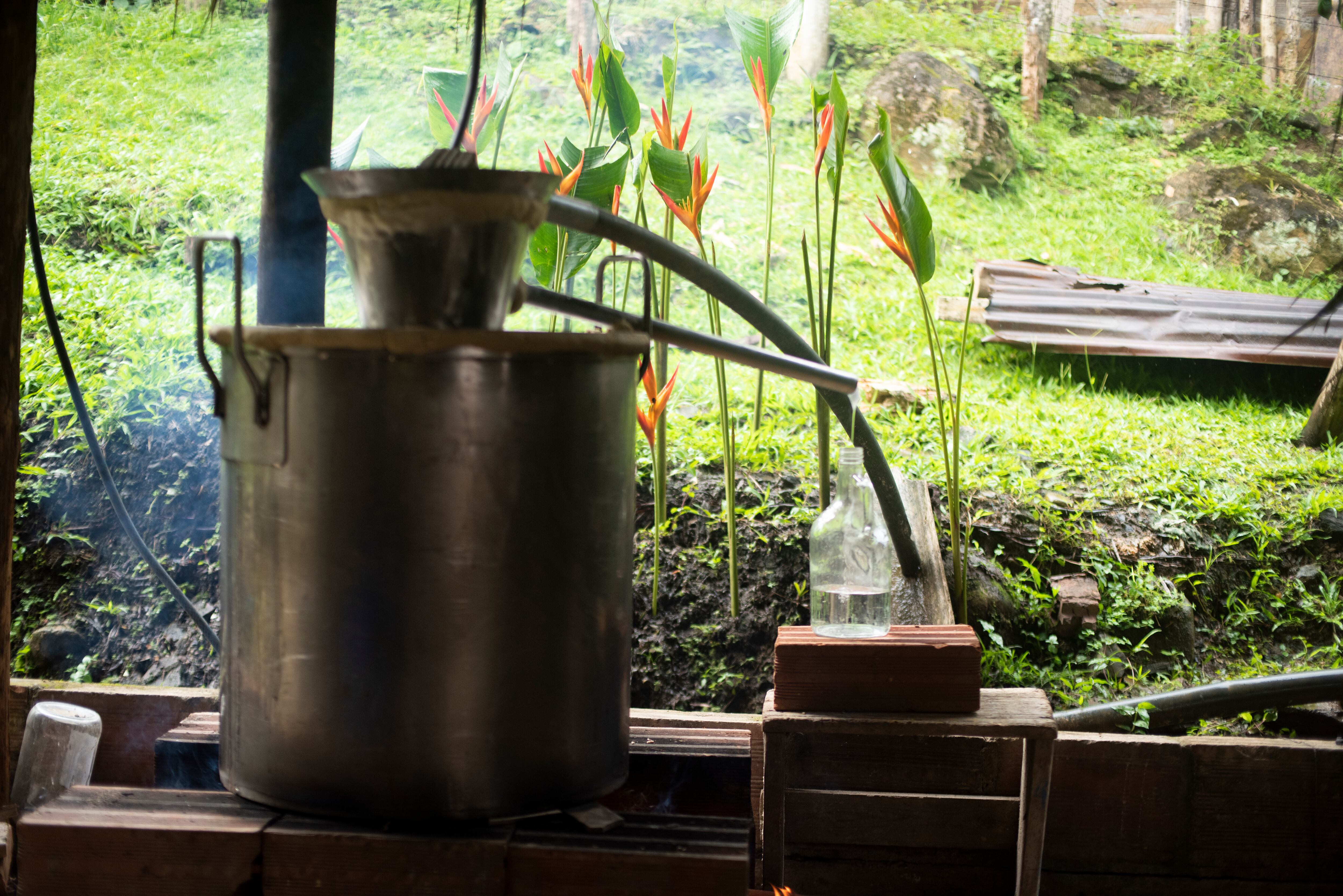 Viche en Triana, municipio de Buenaventura. Foto: Mincultura