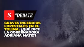 Graves incendios forestales en el Tolima, ¿qué dice la gobernadora Adriana Matiz?