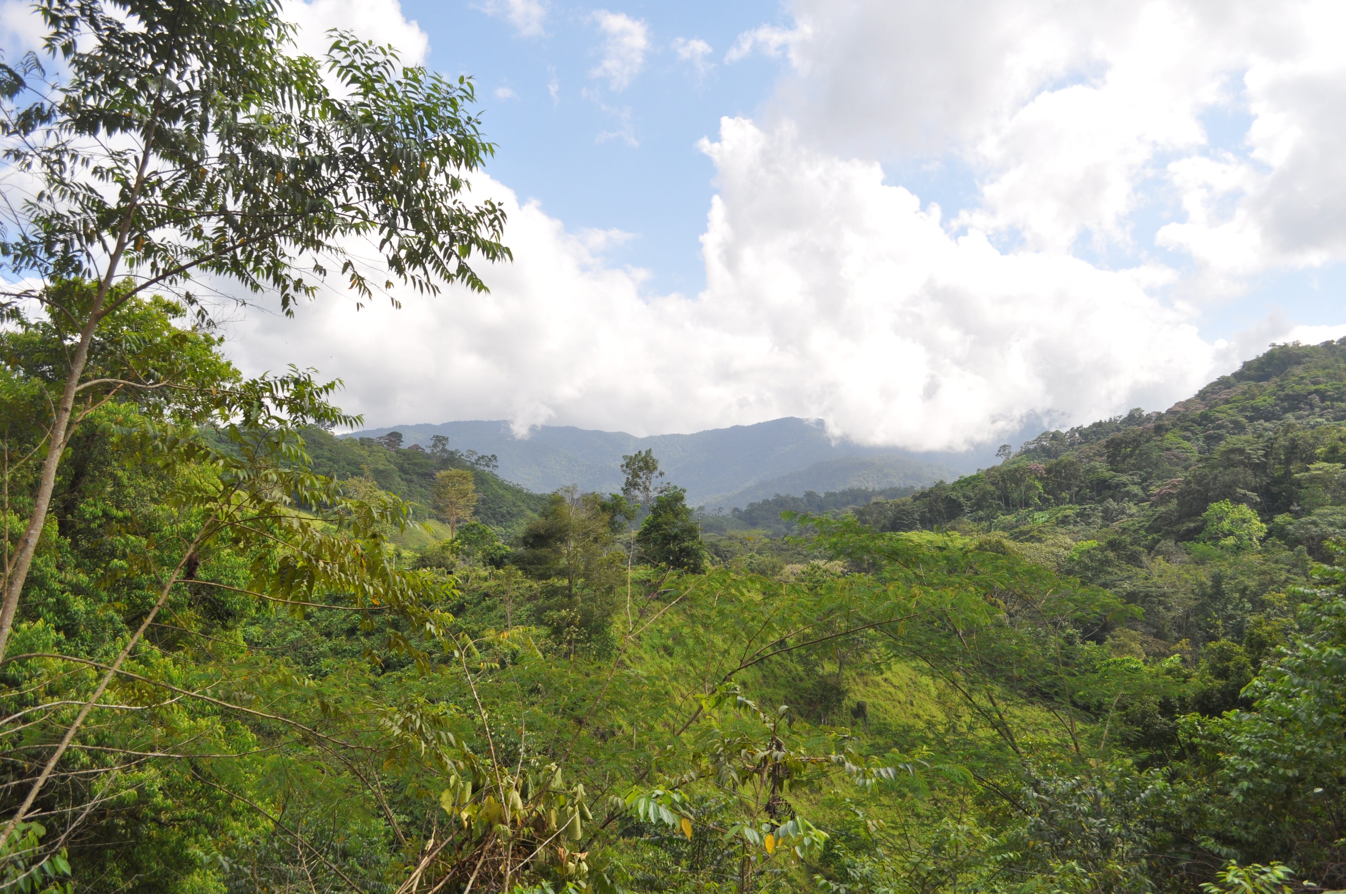 La Serranía de Abibe, en la cordillera occidental de los Andes, se puede ver desde San José de León; un territorio en donde varios excombatientes del antiguo frente 58 de las Farc se han instalado para reiniciar sus vidas luego de dejar las armas.