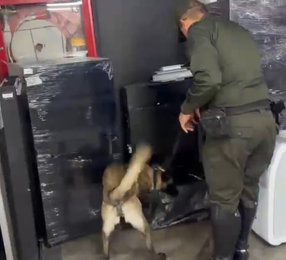 Caninos de la Policía frenan el ingreso de 14 kilos de marihuana enviados por encomienda desde Cali
