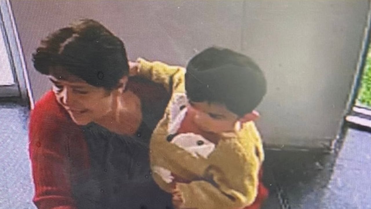 Dioselina Moncada y su nieto, de 13 meses, están desaparecidos.