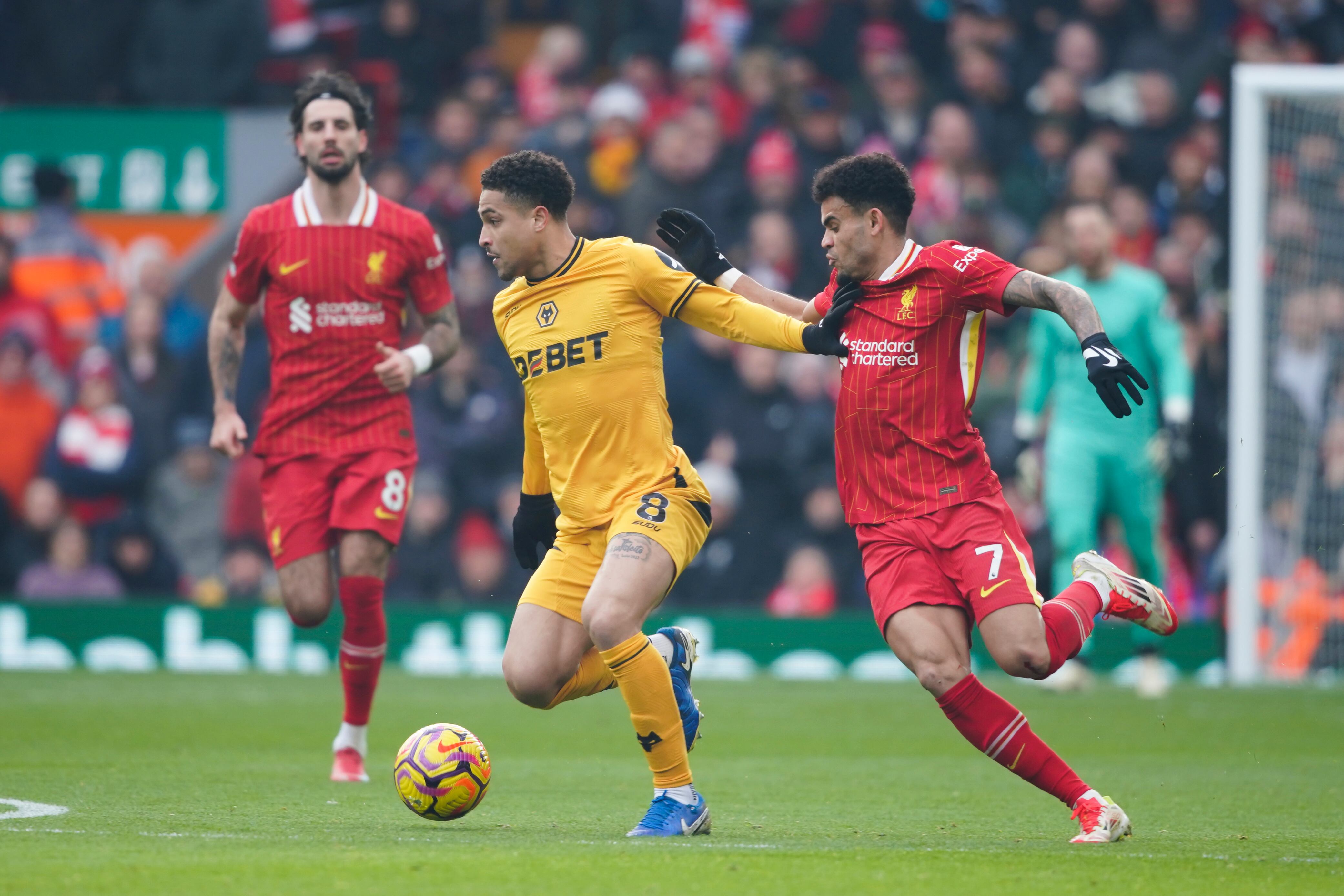 Wolverhampton Wanderers' Joao Gomes, centre, challenges for the ball with Liverpool's Luis Diaz during the English Premier League soccer match between Liverpool and Wolverhampton Wanderers at Anfield Stadium in Liverpool, Sunday, Feb. 16, 2025. (AP Photo/Ian Hodgson)