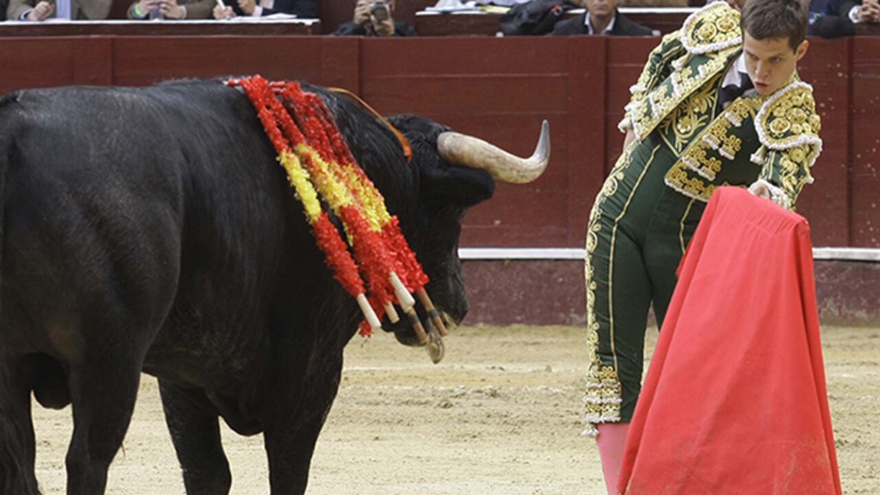 Como lo había anticipado Semana.com de los nueve magistrados, cinco votaron a favor del regreso de la ‘fiesta brava’ a la capital.