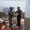 Armada rescata a 105 babillas en operación contra el tráfico de fauna