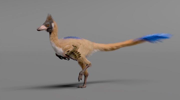 Los alvarezsaurios, en particular, representan un grupo de dinosaurios de tamaño reducido.