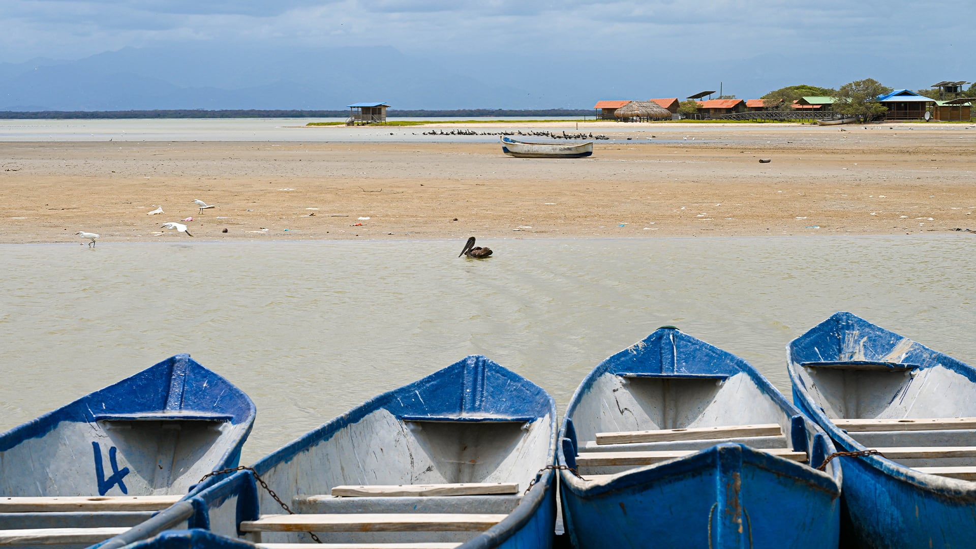 La presencia de microplásticos en La Guajira impacta negativamente al turismo y al paisajismo, motores de la región.