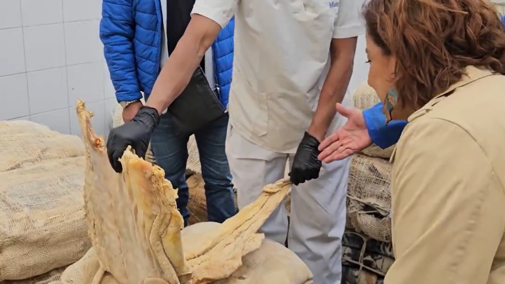 El principal mercado mayorista del país, Corabastos, está listo para satisfacer la demanda de familias, restaurantes y hoteles durante esta época del año con las 1.500 toneladas de diversas variedades de pescados y mariscos provenientes de río, mar y cultivo que dispone.