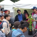 Campaña de la Alcaldía de Medellín para cultivar marihuana.