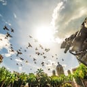 Plaza de Bolívar de Pereira.