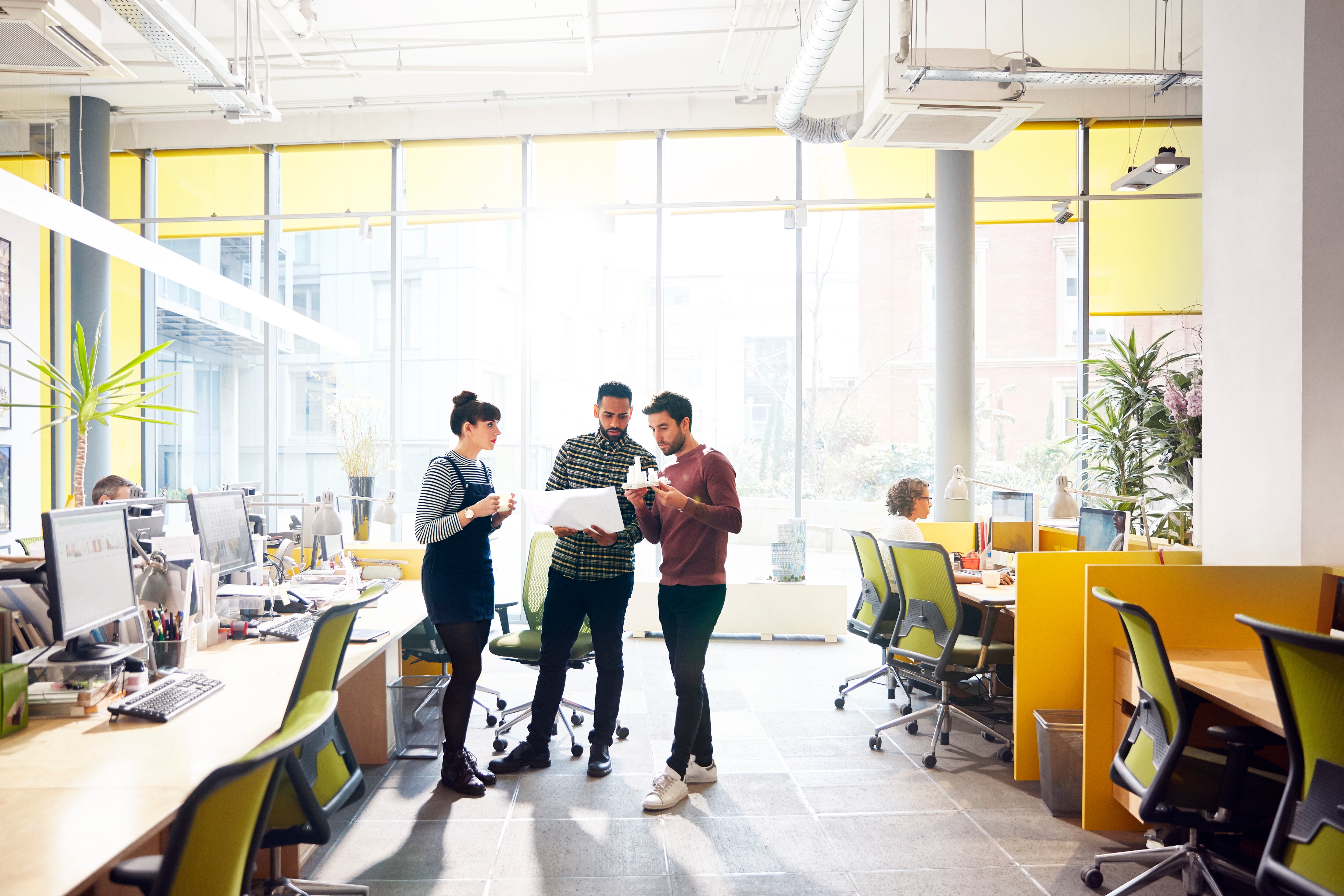 Trabajo / Grupo de estudio