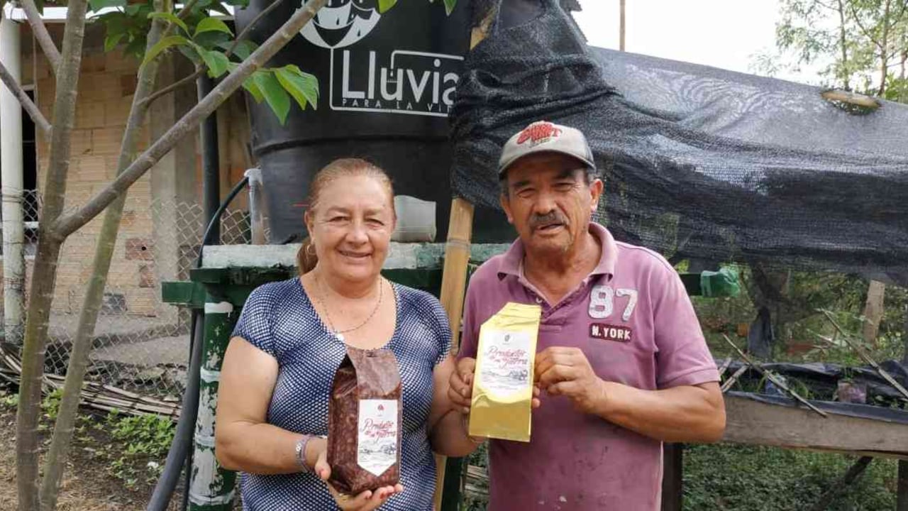 Con apoyo de este proyecto María del Rosario tiene dos productos acreditados como negocios verdes: café y cacao. Foto: Jhon Barros