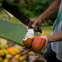Con esta alianza se impactarán inicialmente más de 15 hectáreas de estos cultivos en el país.