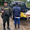 Asesinos de un puma en Valle del Cauca fueron judicializados por la Fiscalía. Tenían la piel del animal en “proceso de secado”