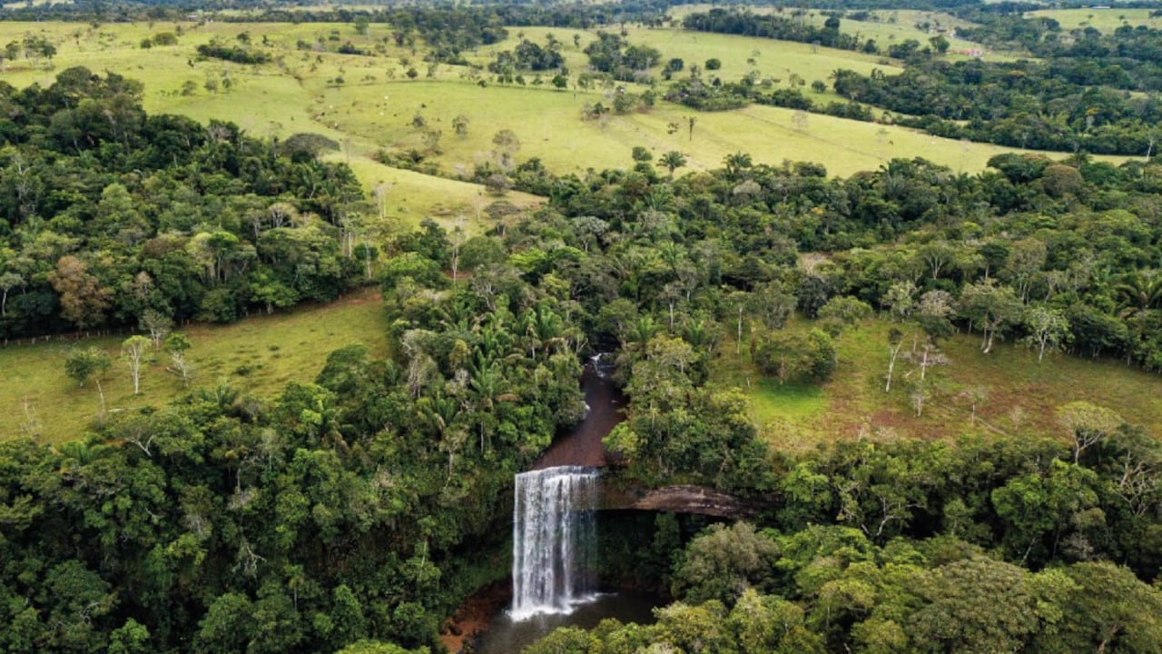 La zona que rodea a este obelisco es famosa por sus paisajes de los Llanos, caracterizados por planicies, vegetación y una biodiversidad única.