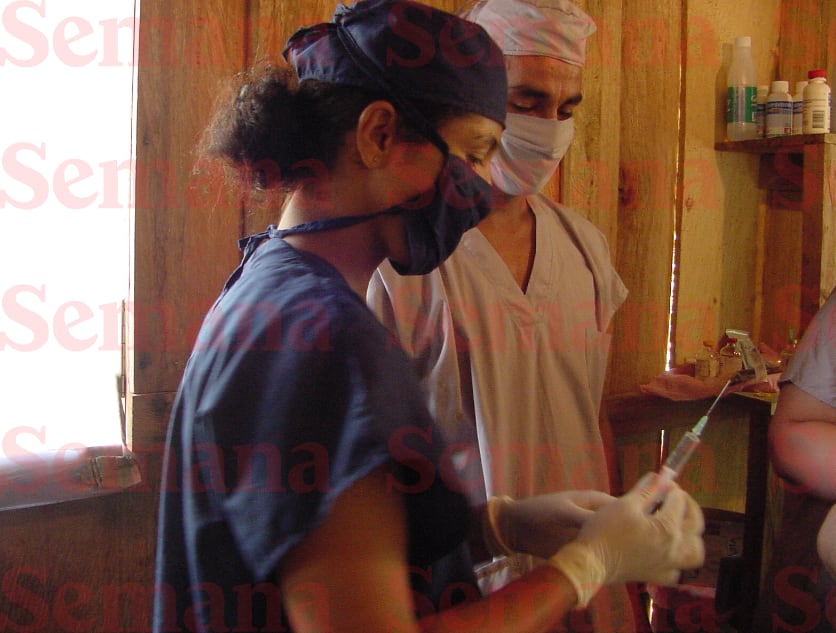 Escuelas de Iván Mordisco