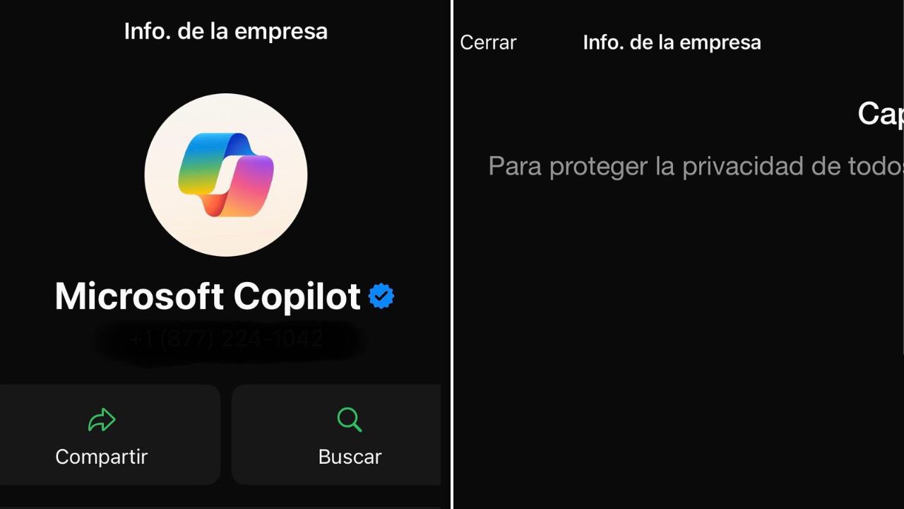 En una prueba con el perfil de Copilot IA, WhatsApp bloqueó exitosamente la captura de pantalla de la foto de perfil.