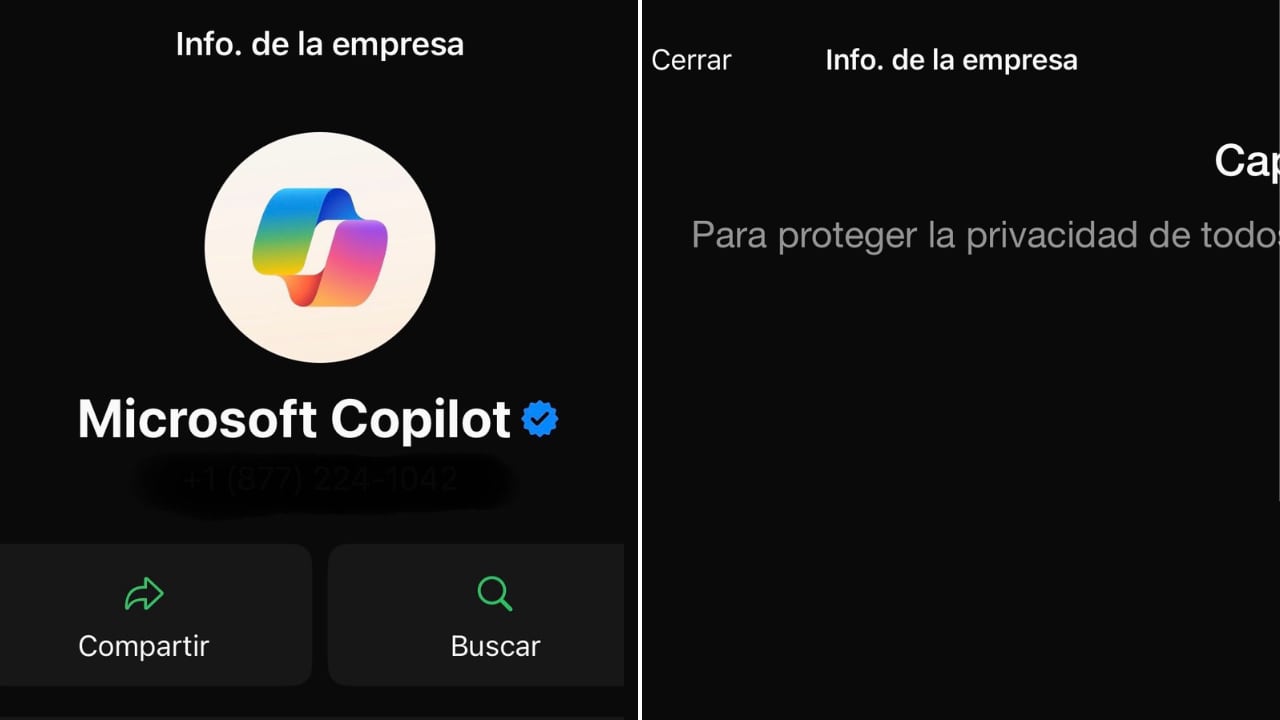 En una prueba con el perfil de Copilot IA, WhatsApp bloqueó exitosamente la captura de pantalla de la foto de perfil.