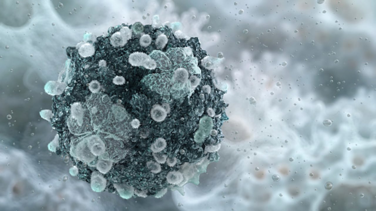 Los investigadores probaron tratamientos experimentales que mostraron resultados prometedores en ratones.
