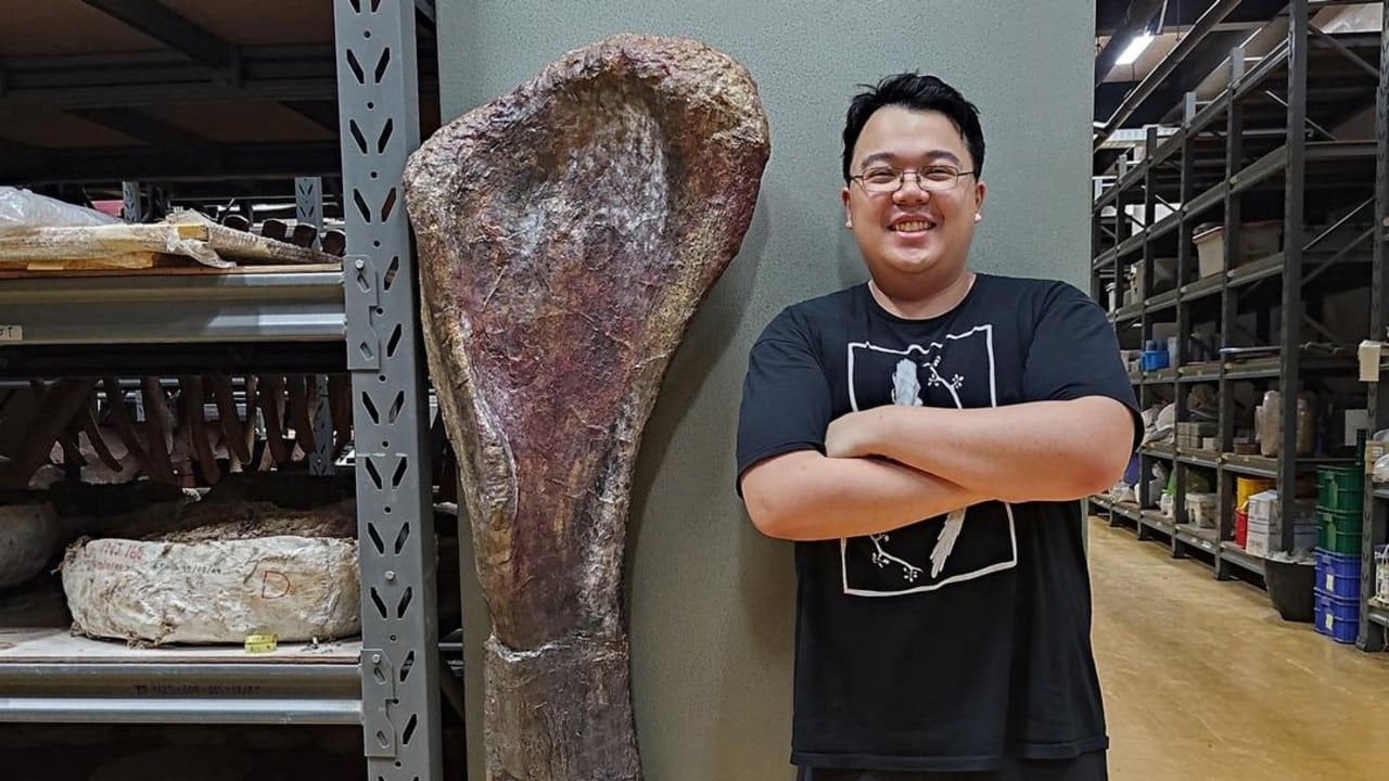 El investigador Thitiwoot Sethapanichsakul junto al húmero del Nagatitan chaiyaphumensis en el Museo Sirindhorn, Tailandia. El hueso medía 1,78 metros, tanto como un ser humano.