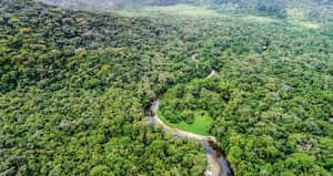 La iniciativa cambiaría la institucionalidad que se creó para este sector desde 1993 y le daría nuevas facultades al Ministerio de Ambiente.