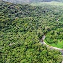 La iniciativa cambiaría la institucionalidad que se creó para este sector desde 1993 y le daría nuevas facultades al Ministerio de Ambiente.