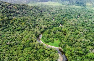 La iniciativa cambiaría la institucionalidad que se creó para este sector desde 1993 y le daría nuevas facultades al Ministerio de Ambiente.
