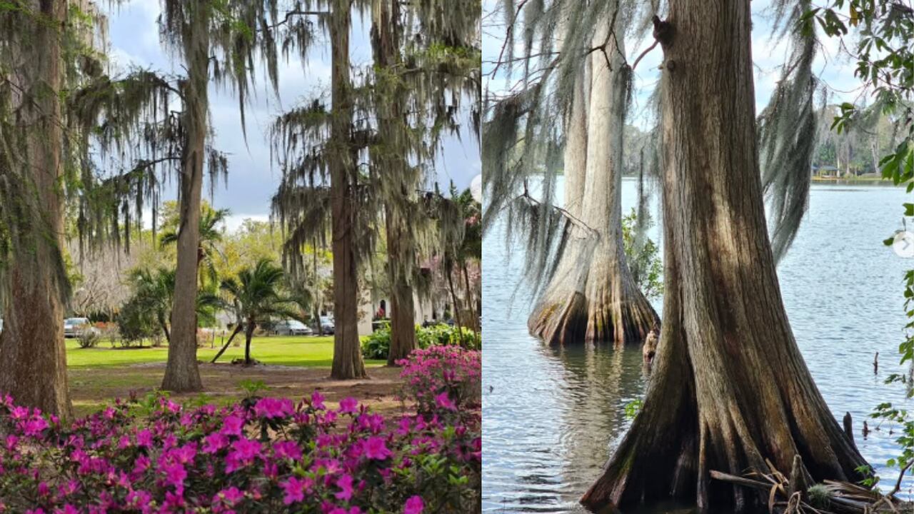 Kraft Azalea Gardens