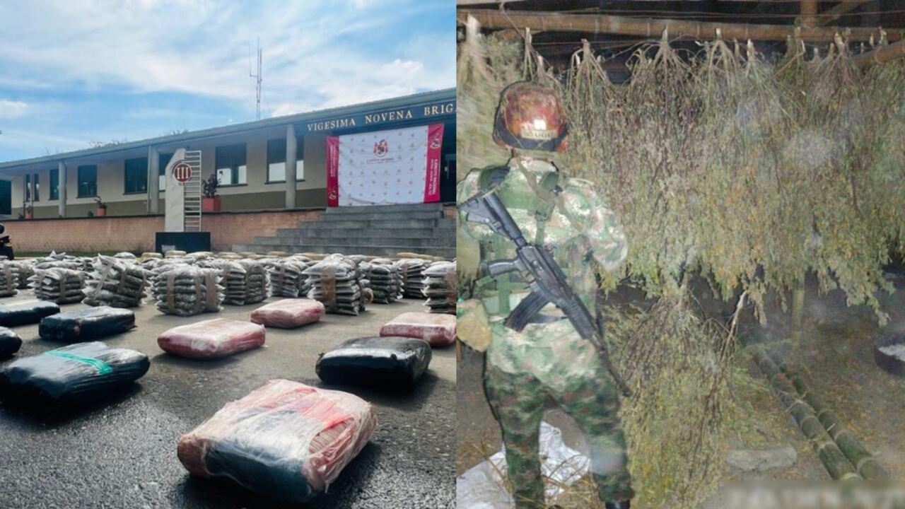 Golpe al narcotráfico en Cauca.