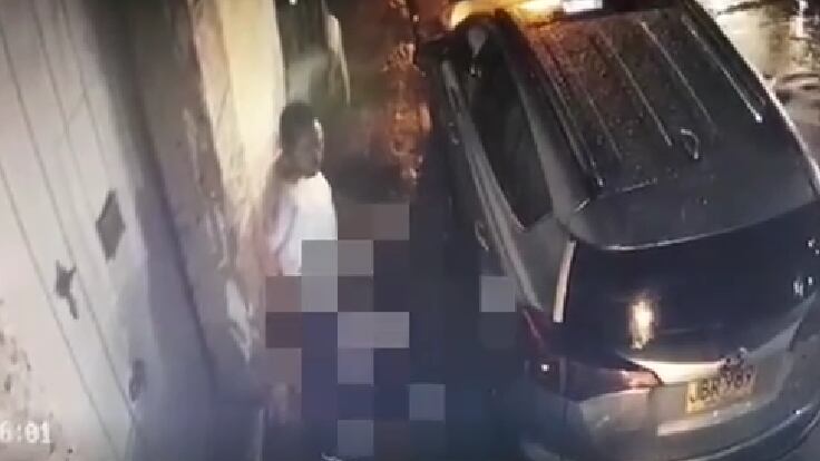 La pareja se ocultó tras una camioneta en el Parque Fernández de Madrid en el Centro Histórico de Cartagena.