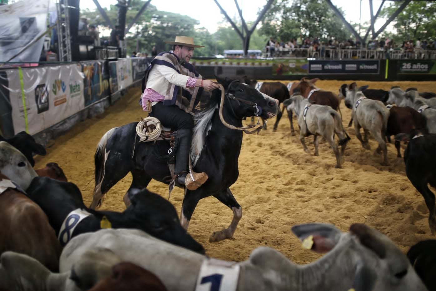 Torneo Internacional de Joropo  Cabalgata