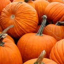 A pile of pumpkins in a truck.