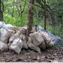 Carga de explosivos robada a una multinacional china en zona rural del occidente de Antioquia.