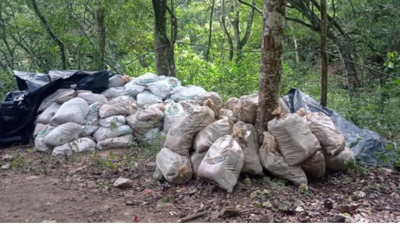 Carga de explosivos robada a una multinacional china en zona rural del occidente de Antioquia.