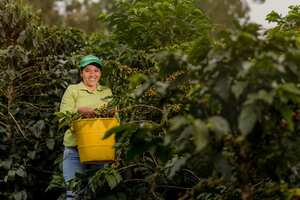 El programa inició con 60 mujeres y hoy cuenta con la participación de 800.