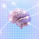 Foto de referencia sobre el cerebro