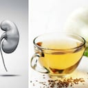 Las plantas son un buen aliado para cuidar la salud de los riñones. Foto: Getty images montaje SEMANA.