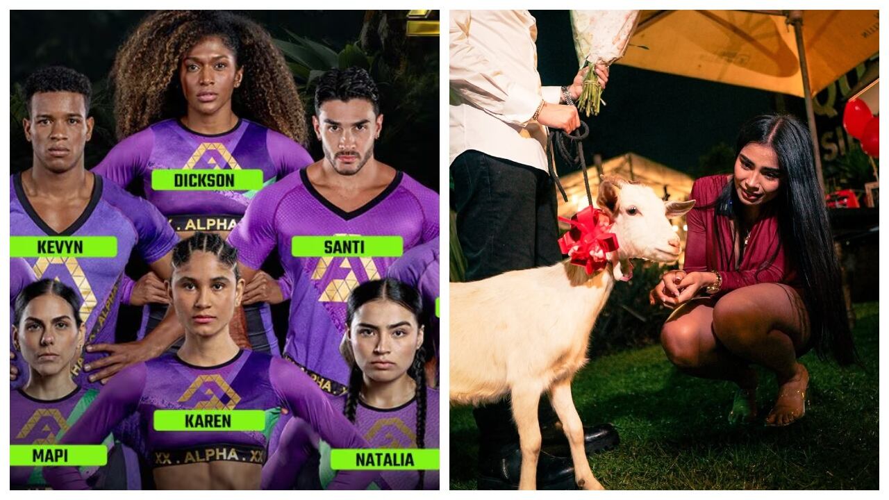 Exparticipante del 'Desafío XX' recibió una cabra de regalo.