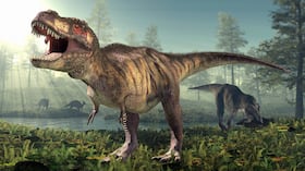 La mayoría de los dinosaurios carnívoros son recordados por sus enormes mandíbulas y dientes afilados.